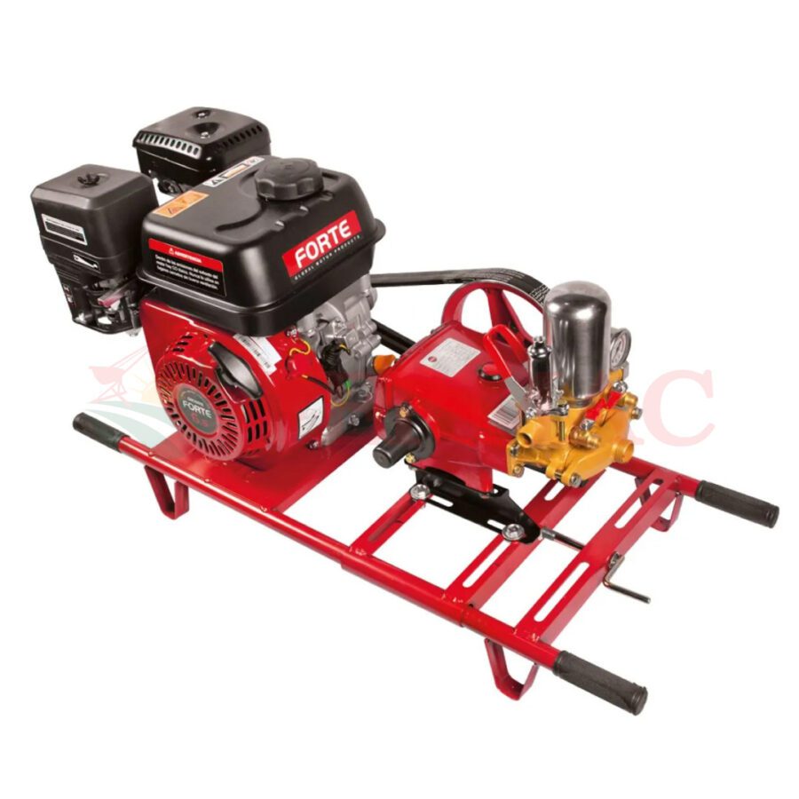 Fumigadora estacionaria 22L FORTE 1 manguera 1 lanza TO22-GM200